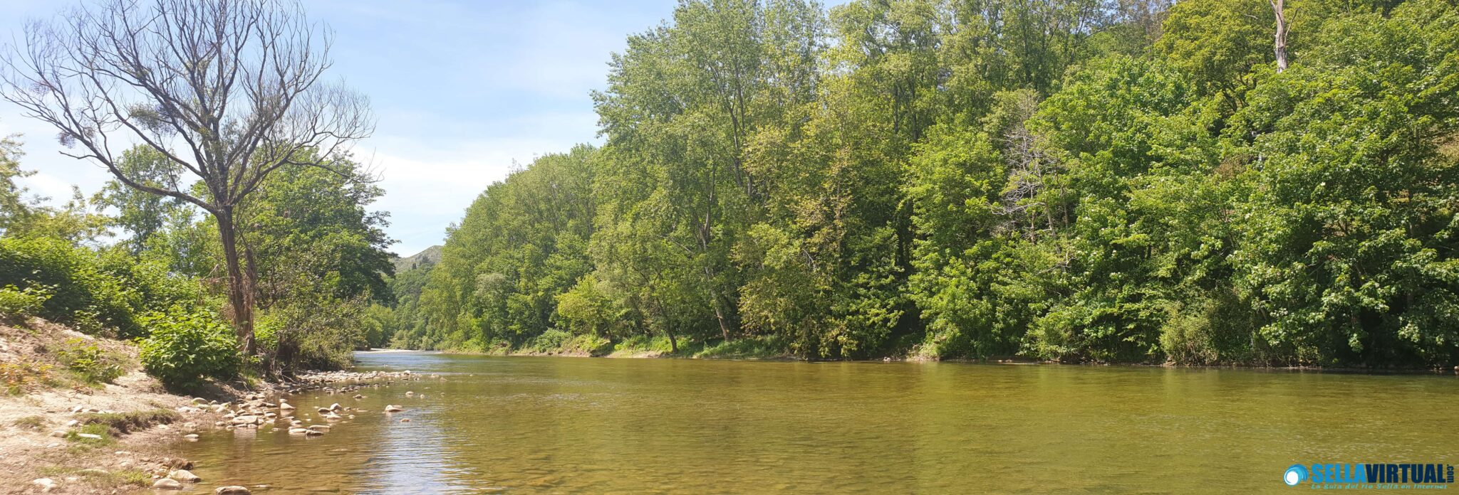 El bosque de ribera - Naturaleza rio sella - the riparian forest in the  river sella